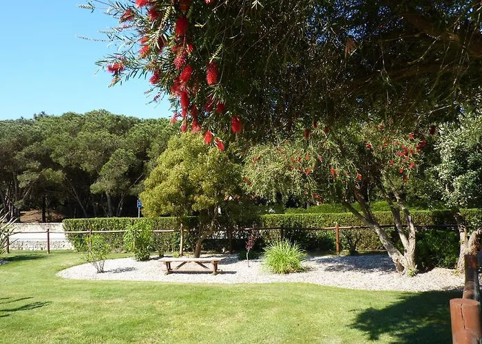 Moura - D'el Rey Golf, Surf & *